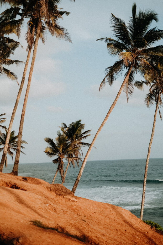 Sieht ein digitaler Nomade häufig: Palmenstrand mit Meerblick