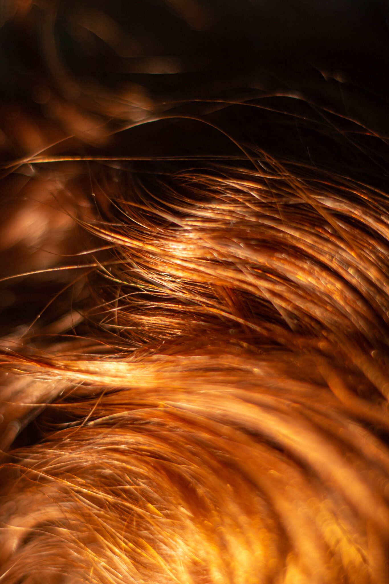 Weißt du es Wie schnell Haare wachsen? Wienerin