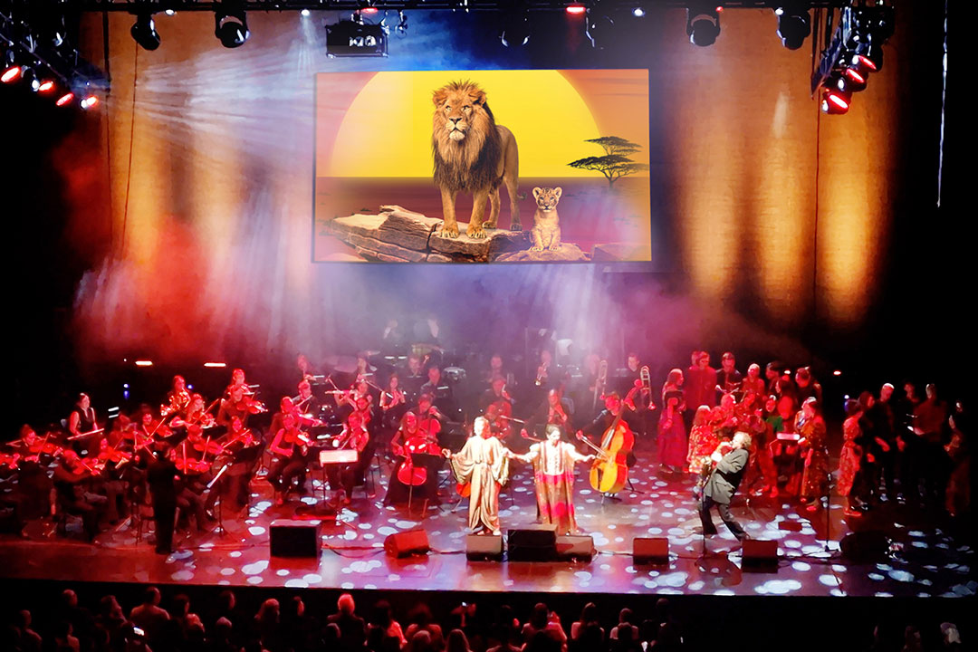 König der Löwen Musical