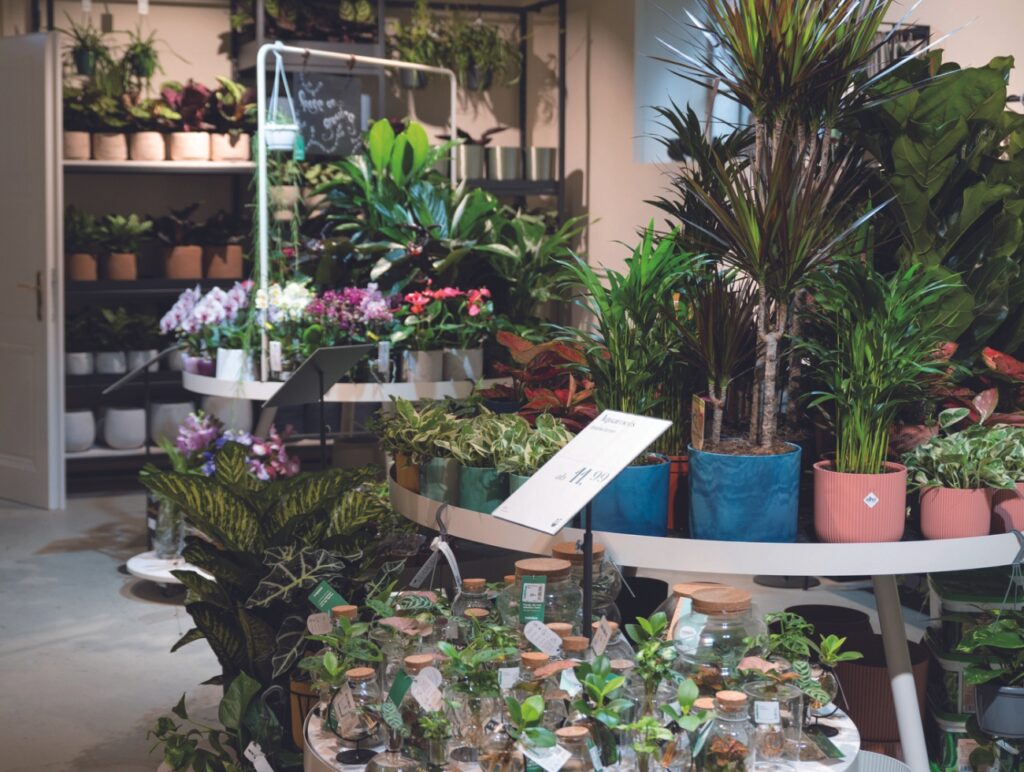 Concept Stores in Wien: Salon Verde