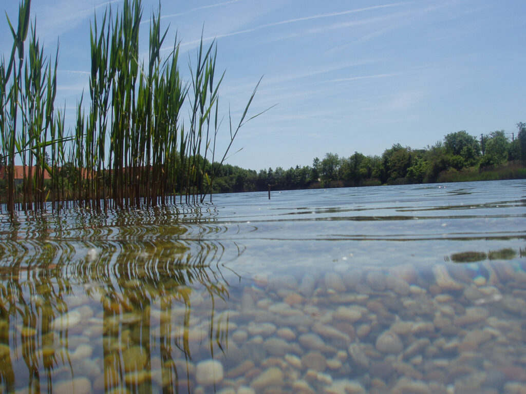 Naturbadesee Ozean