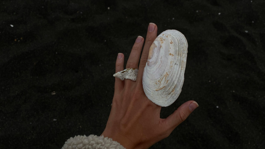 Beach Schmucktrend: Eine Hand hält eine schöne schimmernde Muschel über dem Wasser und trägt eine Muschel als Ring