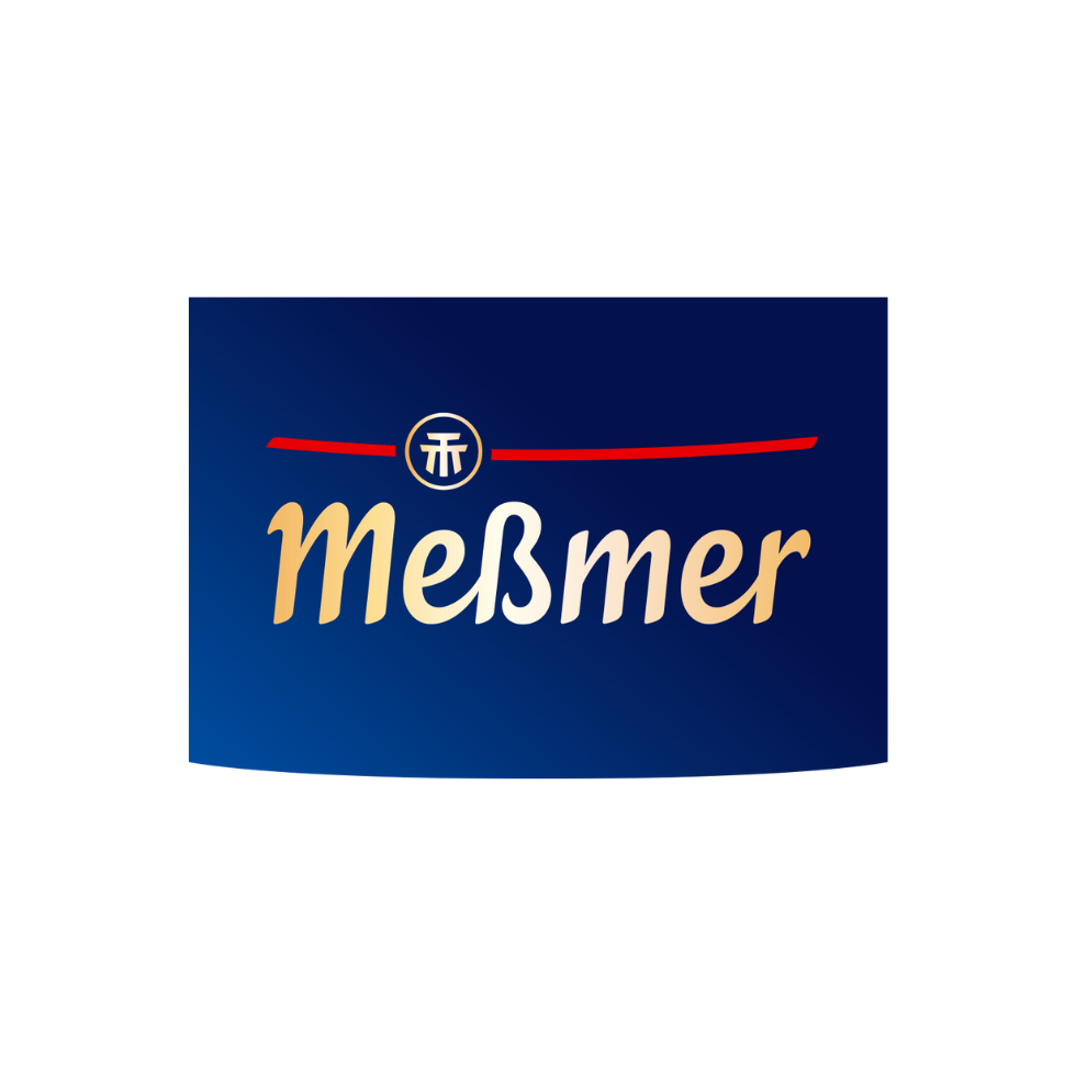 Gründerinntag 2025 Logo Meßmer