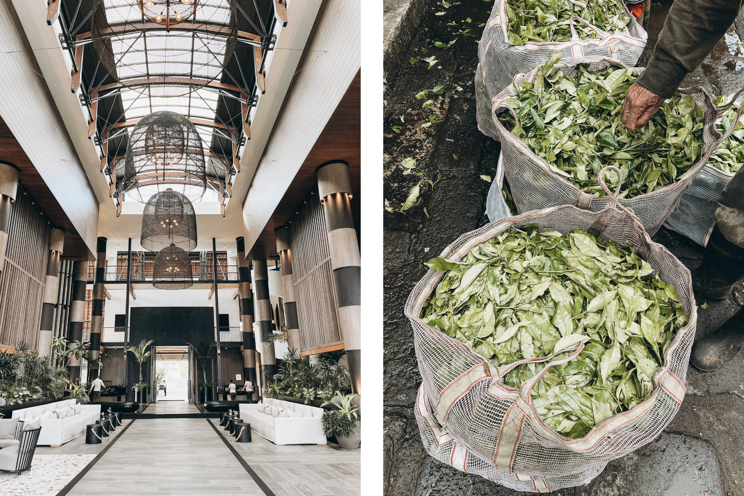 Pressereise Mauritius, LUX* Belle Mare im Osten und LUX* Grand Baie im Norden