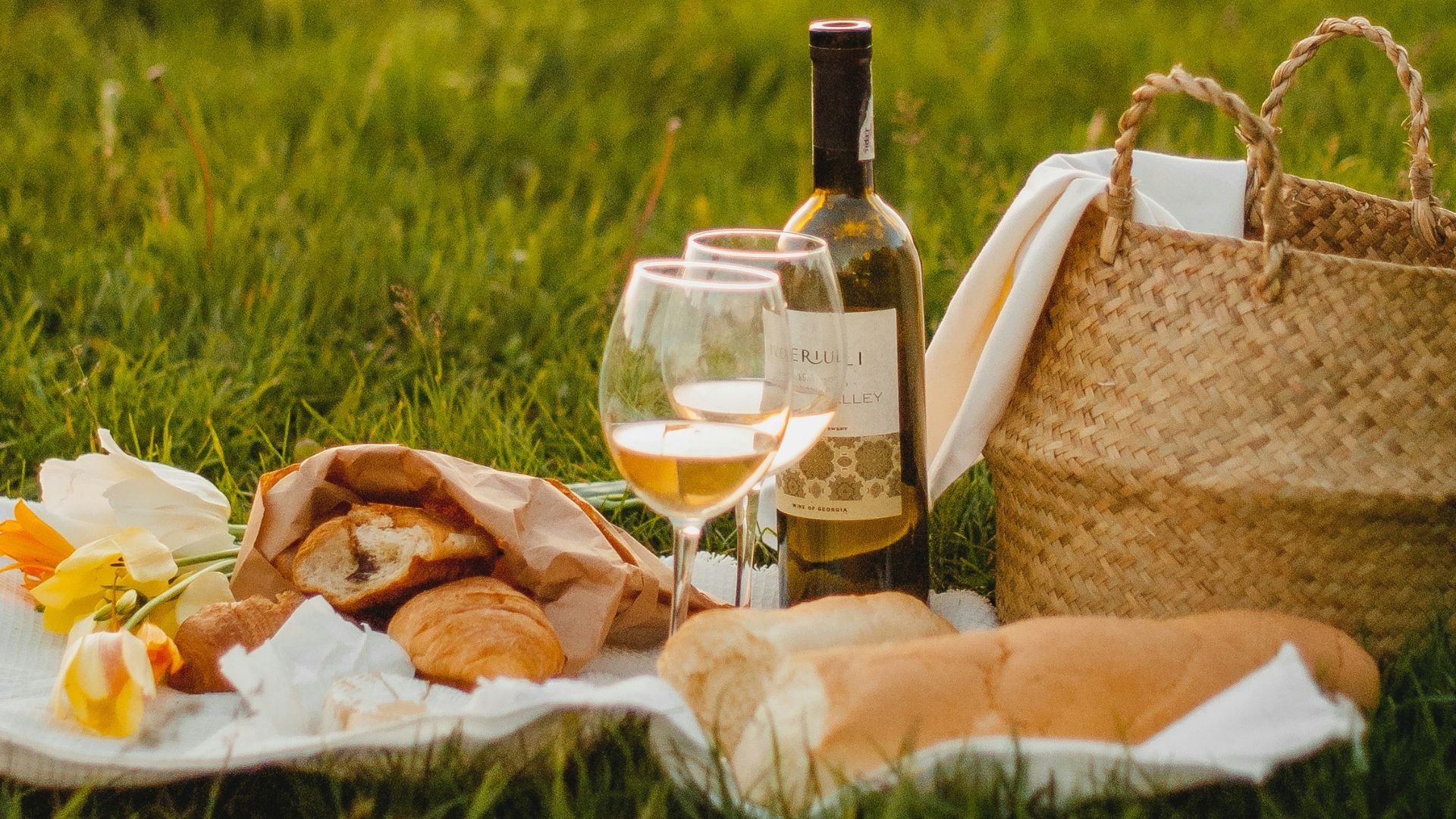 Picknick auf einer Wiese