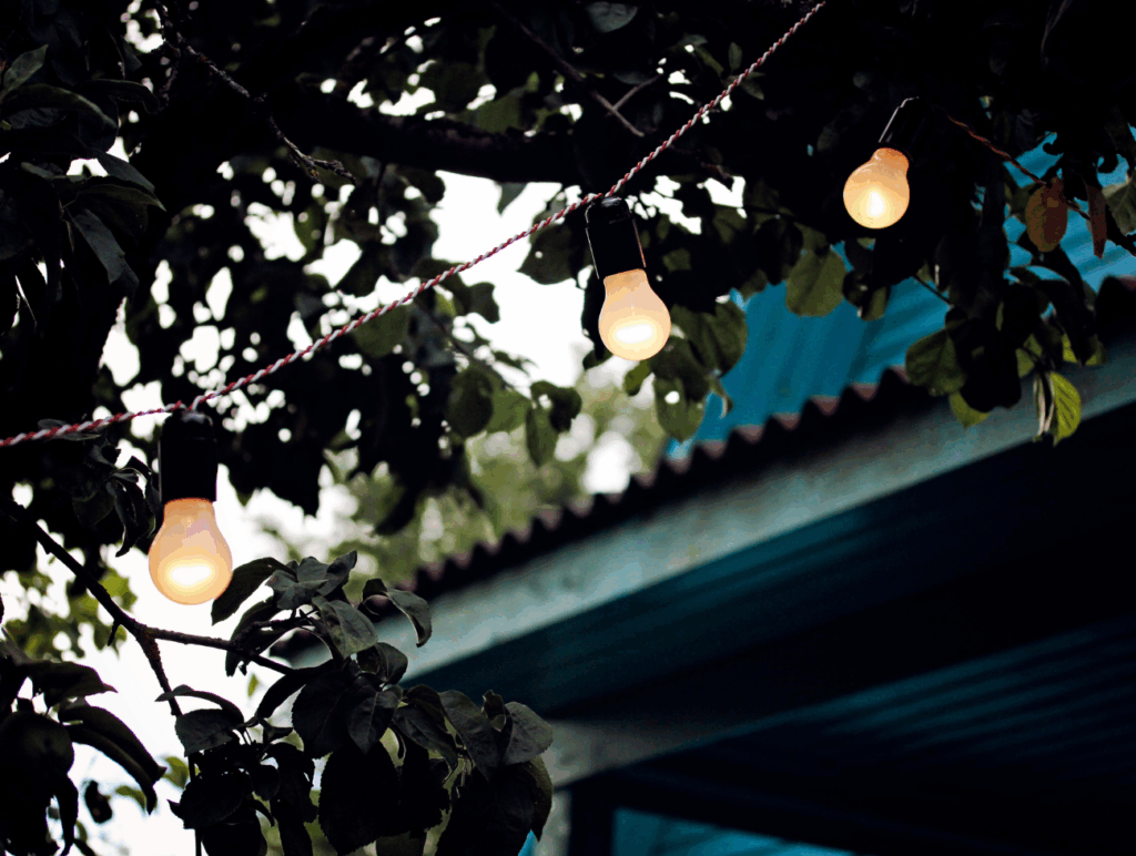 Eine leuchtende Lichterkette vor Blättern eines Baumes