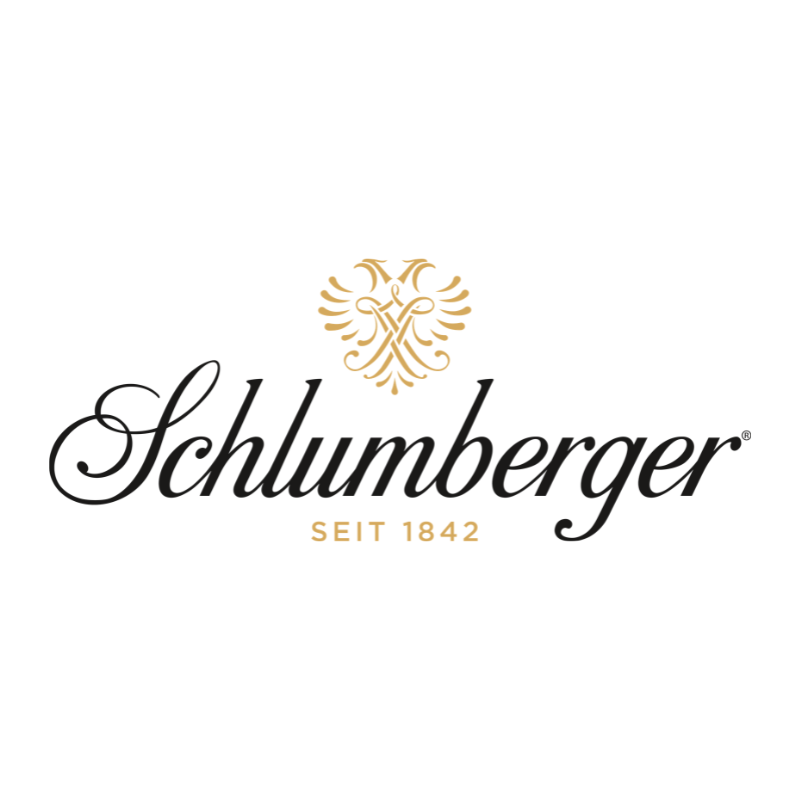Gründerinntag 2026 Logo Schlumberger