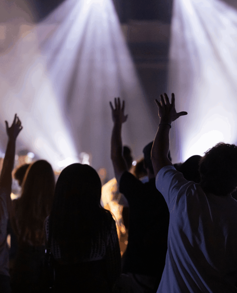 Feiernde Menschen in einem Konzert - Rückenansicht