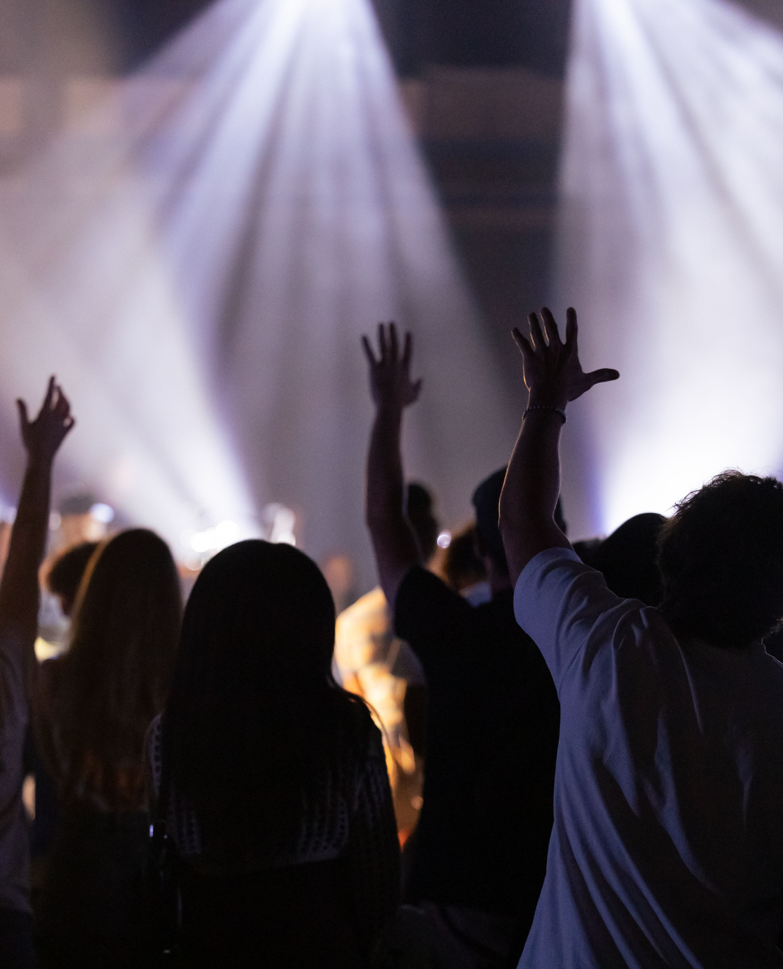 Feiernde Menschen in einem Konzert - Rückenansicht