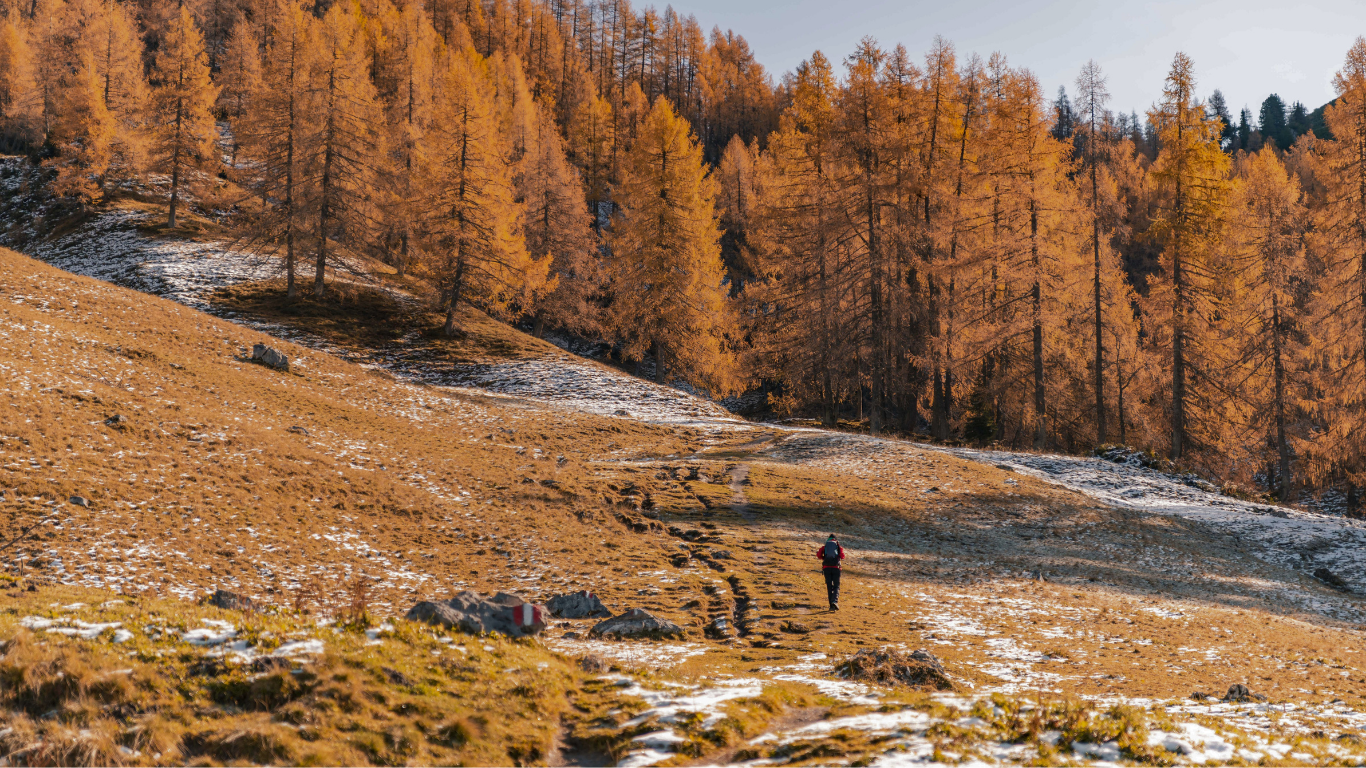 Wandern in Österreich